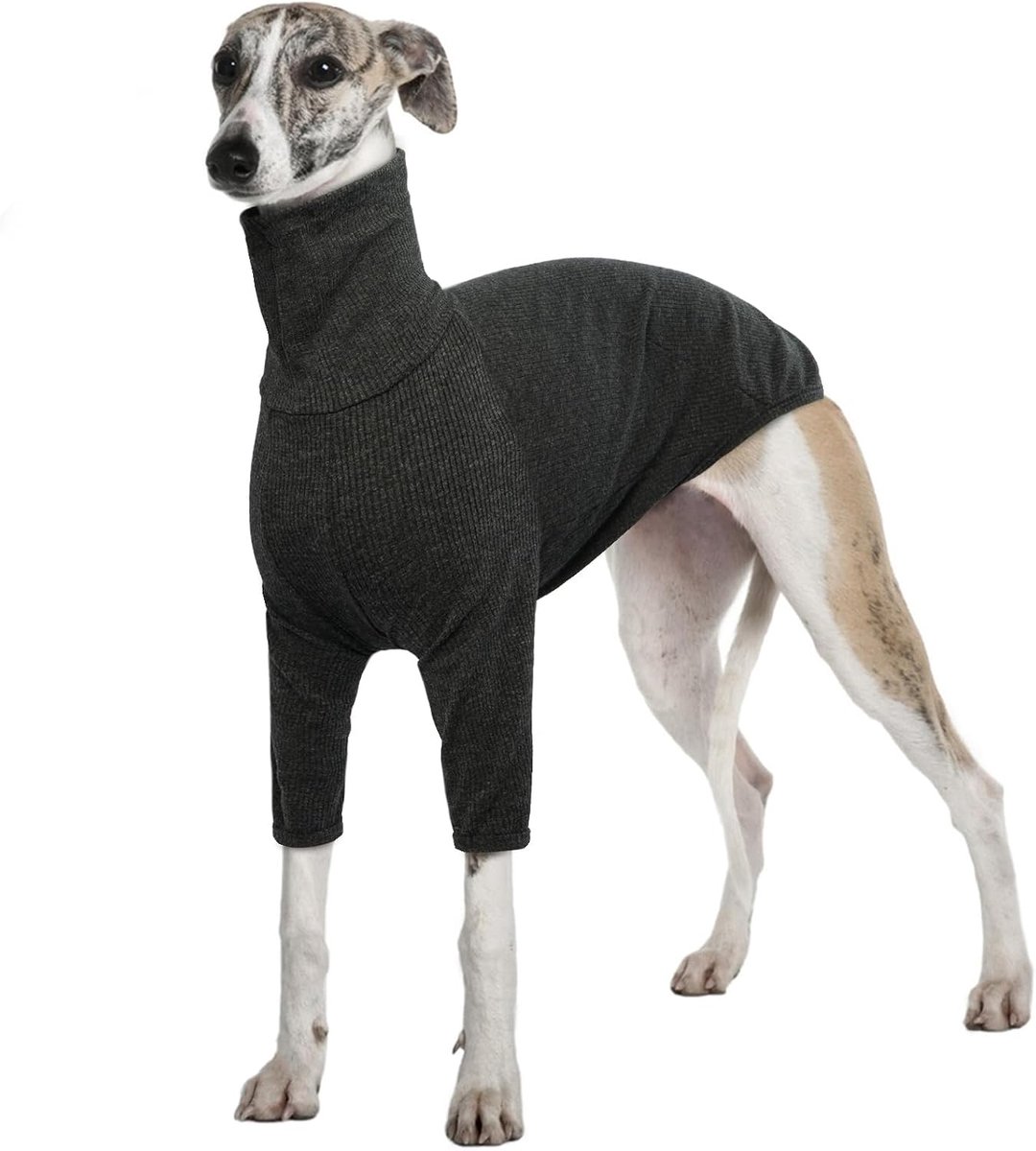 Winterjas, Salukis Jumper Greyhound Winterkleding Hond T-shirt Lente Herfst Hond Jumpsuit Pyjama (Grijs, 3XL)
