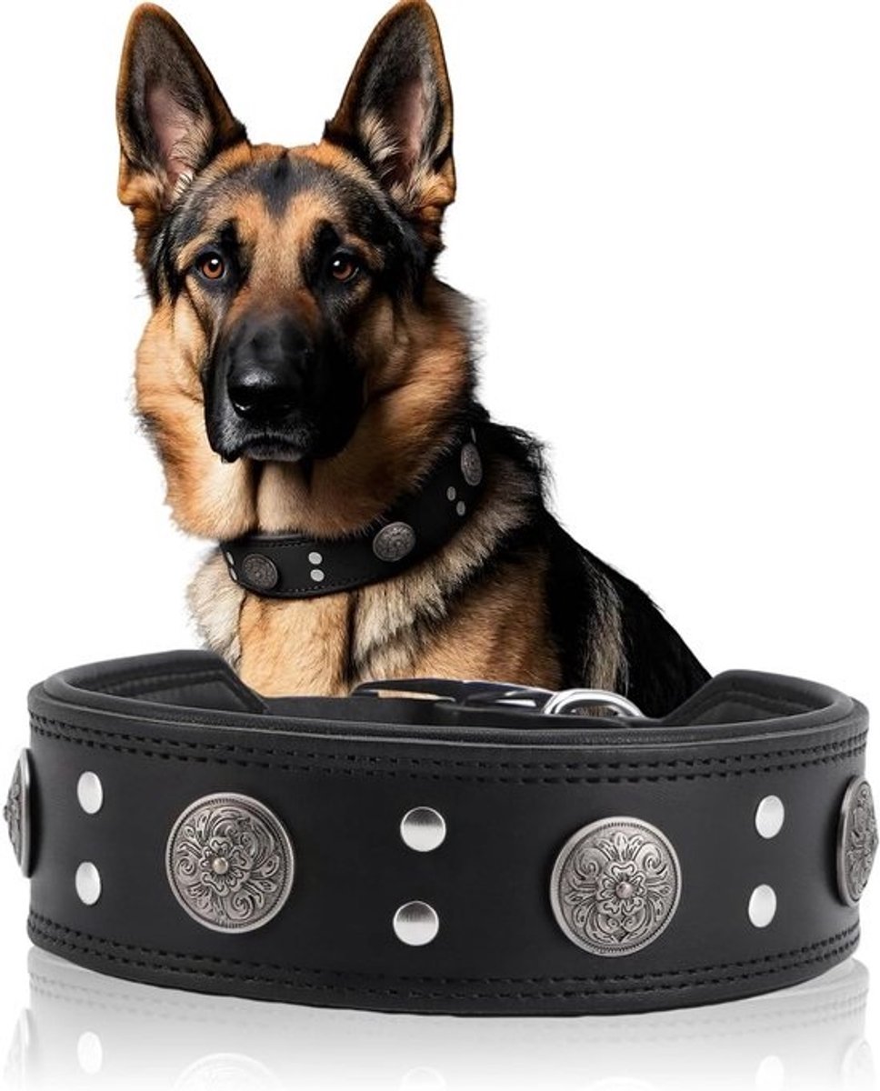 Honden Riem Leer - Hondenband - Veilig Wandelen - 5cm Brede Padded Band - XL 48-56cm - Zwart