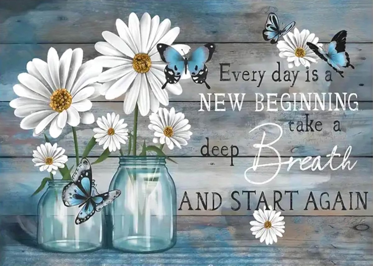 5D Diamond Painting afbeeldingen margrieten met vlinders, doe-het-zelf diamantschilderset voor volwassenen en beginners, diamond painting bloemen wanddecoratie met inspirerende spreuk, Diamond Art Kit