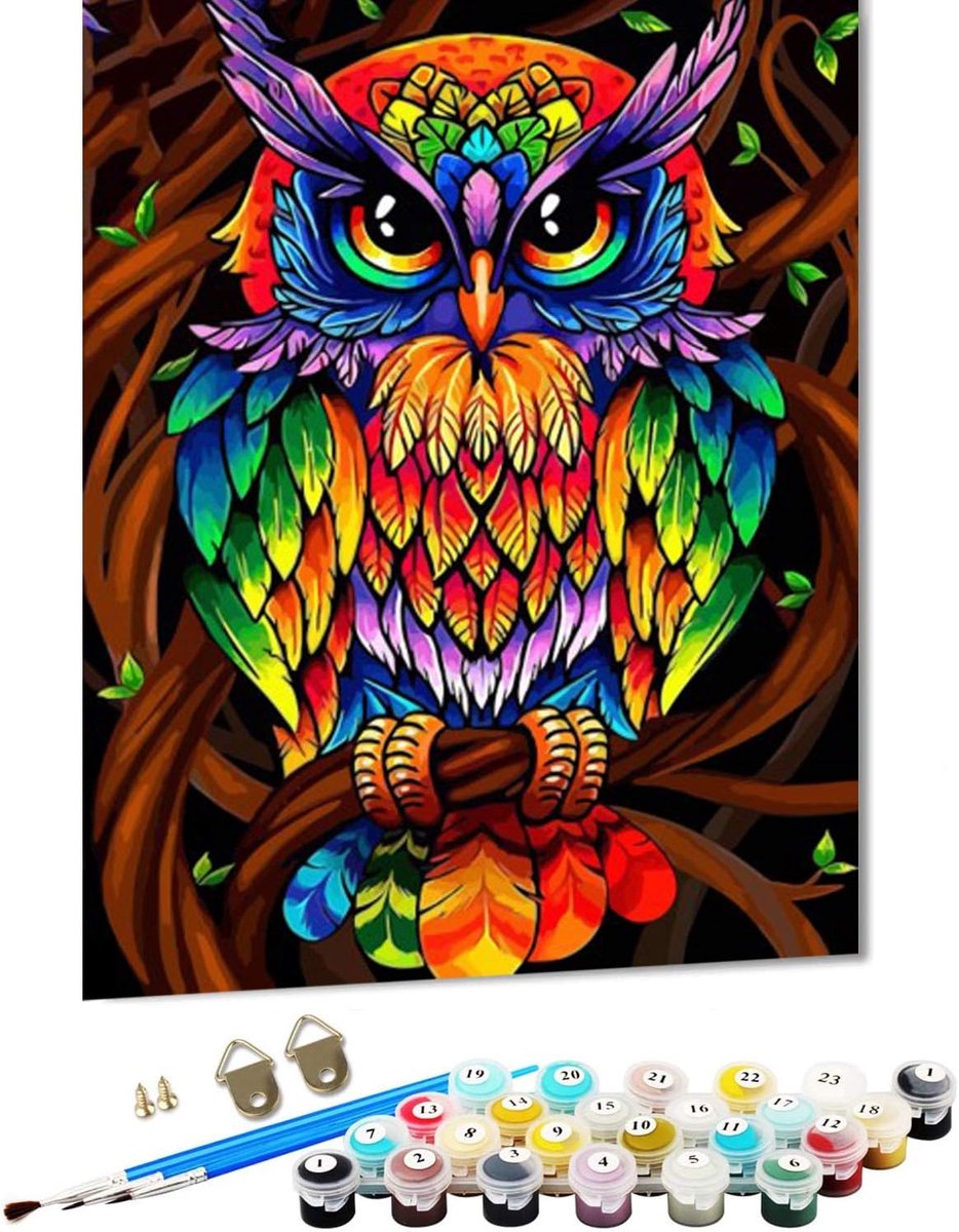 Dailygoods- Schilderen op Nummer - Acrylverfset voor Volwassenen - Doe-het-zelf Olieverfschilderij - 40 x 50 cm - Milieuvriendelijk - Geschikt voor Be