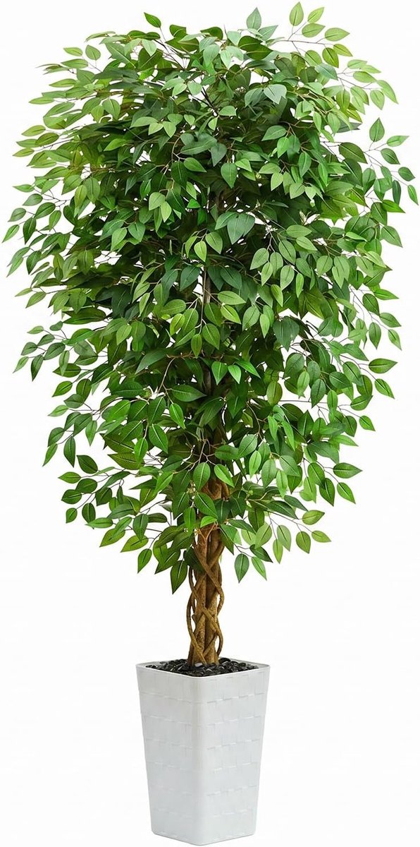 Kunstmatige ficusboom 15 cm hoog, kunstboom kunstzijde plant in witte pot, nepboom, kunstboom in pot voor thuiskantoor, woonkamerdecoratie, modern
