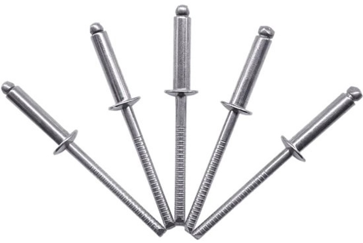 100x RVS Blindklinknagels 4.0 x 16 mm met Koepelkop voor Diverse Metalen