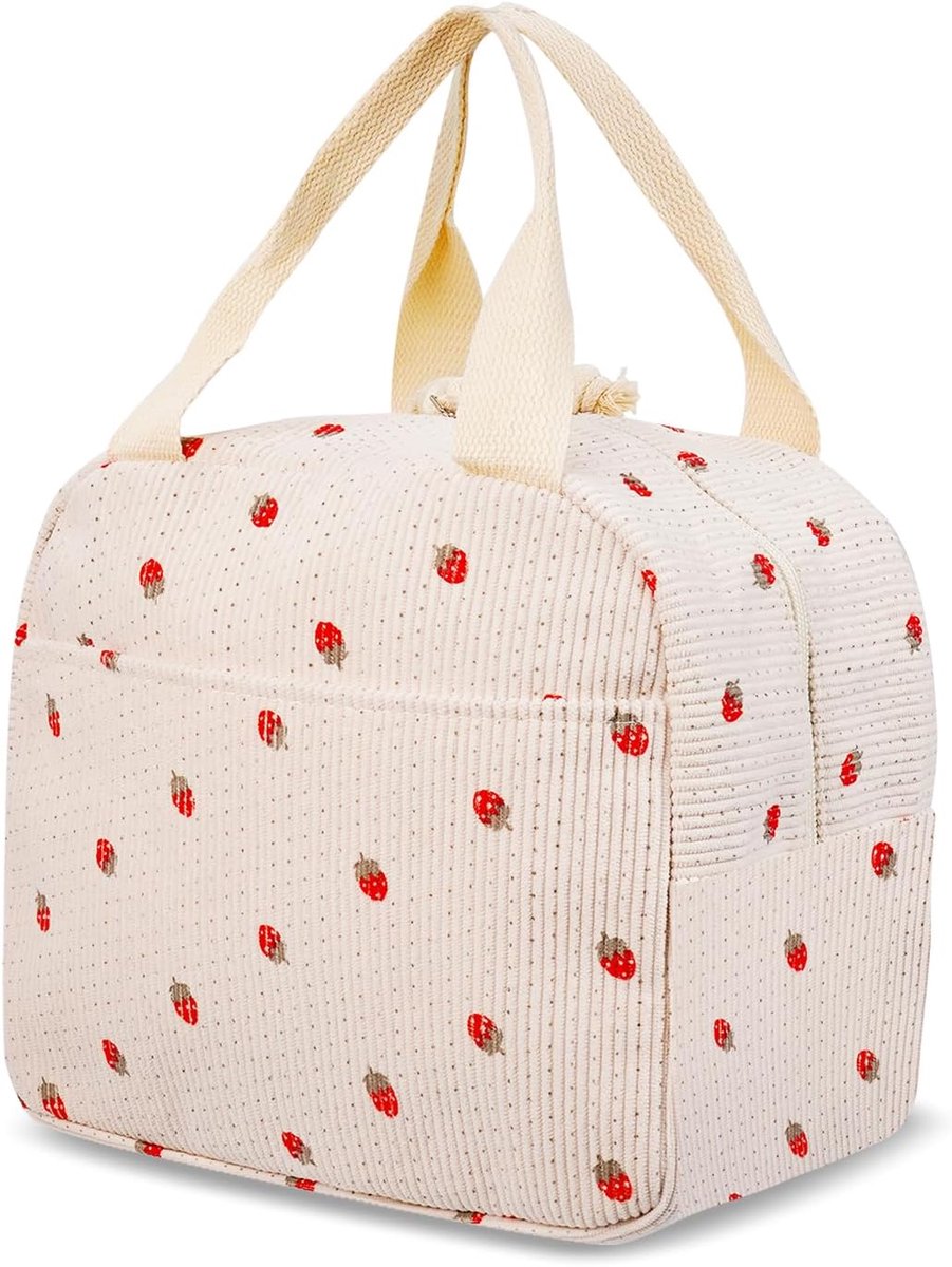 Lunchtas, kleine koeltas voor vrouwen en mannen, thermotas met folievoering, koeltas voor meisjes met flessenhouder, lunchtas, picknicktas voor dames en heren, 9,8 l