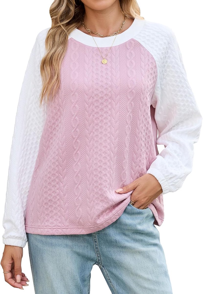 Tops met lange mouwen voor dames, dunne trui, casual sweatshirt met ronde hals, kleurblok, herfst, trendy outfits, los T-shirt