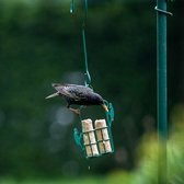 CJ Wildlife - Energierollen met insectenvet (6 stuks) - tuinvogelvoer - Eiwitrijk