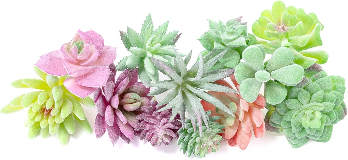 12 stuks realistische gevlokte kunstmatige vetplanten, faux plastic vetplanten mini nepplanten voor tuinambacht, taart, feest, binnen- en buitendecoratie (ongepot, PVC, levensechte details)