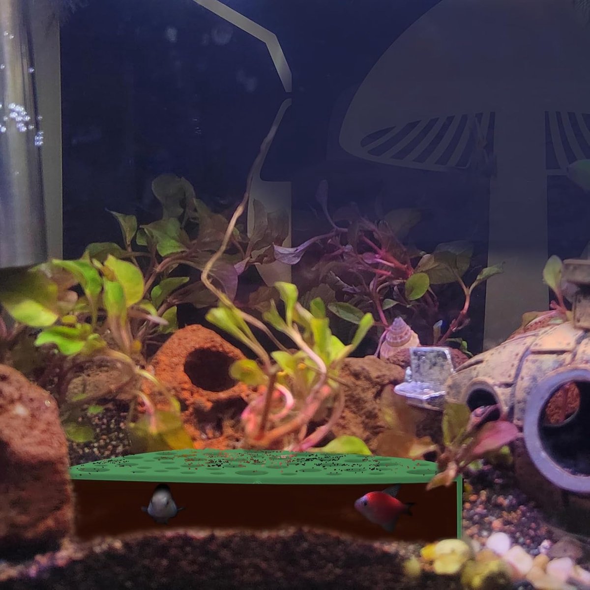 Aquarium met garnalenhuid, garnalenholte met gaten, aquarium met garnalenverstopplaats, visbekken, garnalenbak, kweekcontainer (groen, 1)
