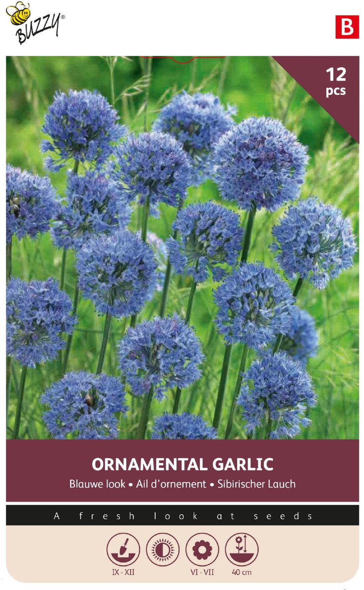 Buzzy Bloembollen Sierui Blauwe Look (Allium caeruleum) 12st