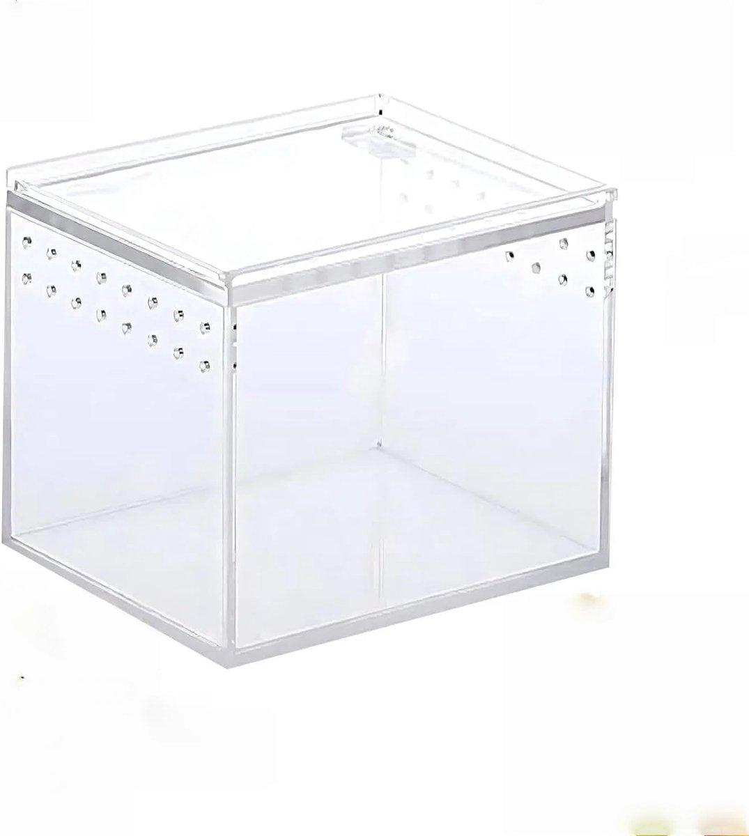 Fokdoos voor reptielen van acryl, transparant, voederbox voor insecten, reptielenhabitat van acryl, 360 graden transparantie, met luchtgaten (10 x 10 x 10 cm)