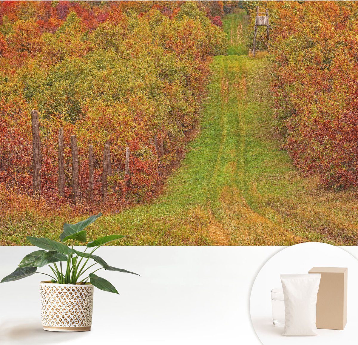 Wallfluent Fotobehang - Groente Vliesbehang - 152x104 cm - Herfstkleuren Fotobehang Vlies - Hal behang Landschappen - Muurschildering - Hal behang