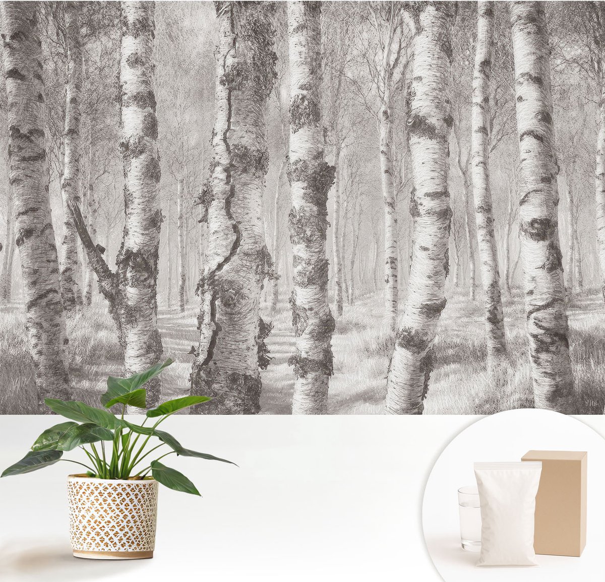 Wallfluent Fotobehang - Grijs Vliesbehang - 152x104 cm - Berkenbos Fotobehang Vlies - Woonkamer behang Landschappen - Muurschildering - Woonkamer behang