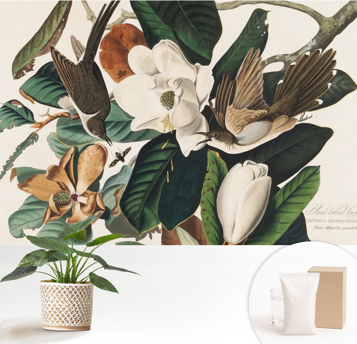 Wallfluent Fotobehang - Groente Vliesbehang - 152x104 cm - Vogels Magnolia'S Muurschildering - Gang behang Dieren - Fotobehang Vlies - Slaapkamer behang