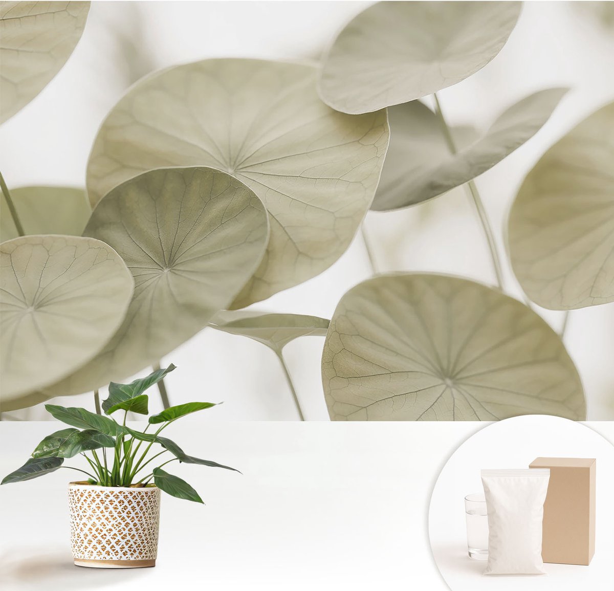 Wallfluent Fotobehang - Beige Vliesbehang - 152x104 cm - Natuurlijke Elegantie Fotobehang Vlies - Hal behang Bloemen En Planten - Muurschildering - Woonkamer behang