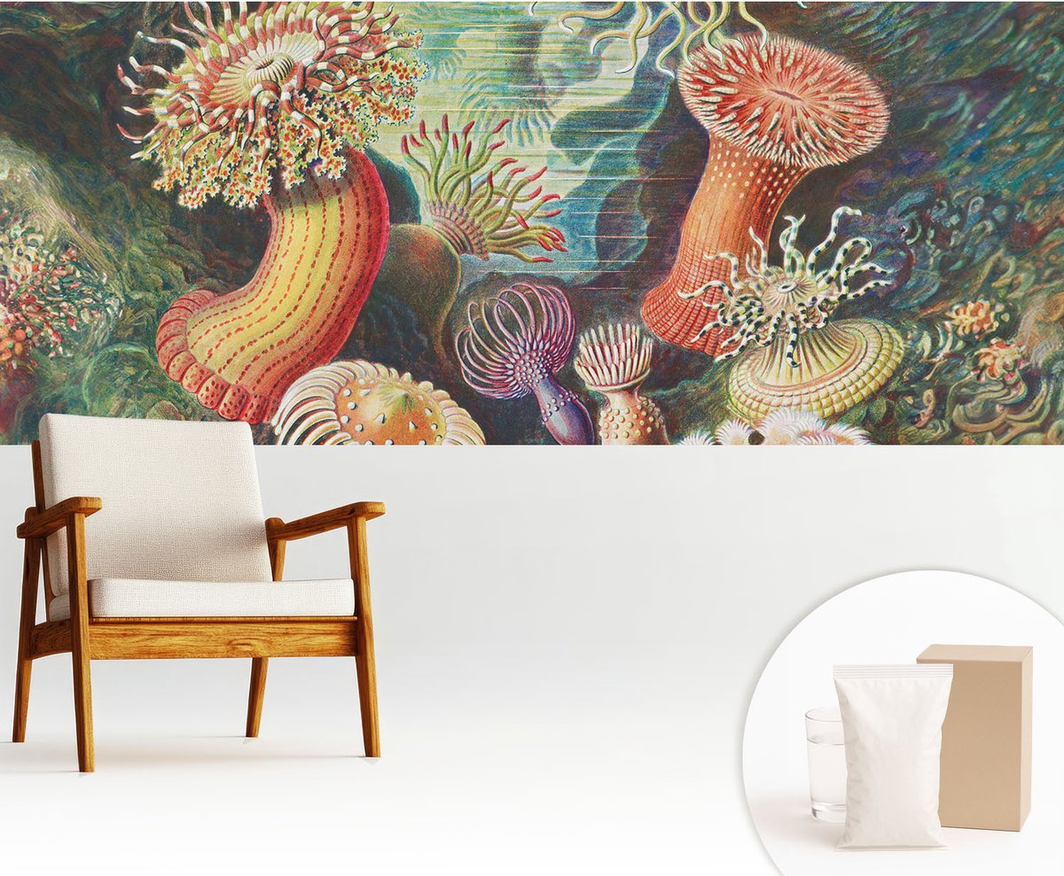 Wallfluent Fotobehang - Groente Vliesbehang - 250x104 cm - Sierlijke Zeeanemonen Fotobehang Vlies - Hal behang Deel - Muurschildering - Woonkamer behang