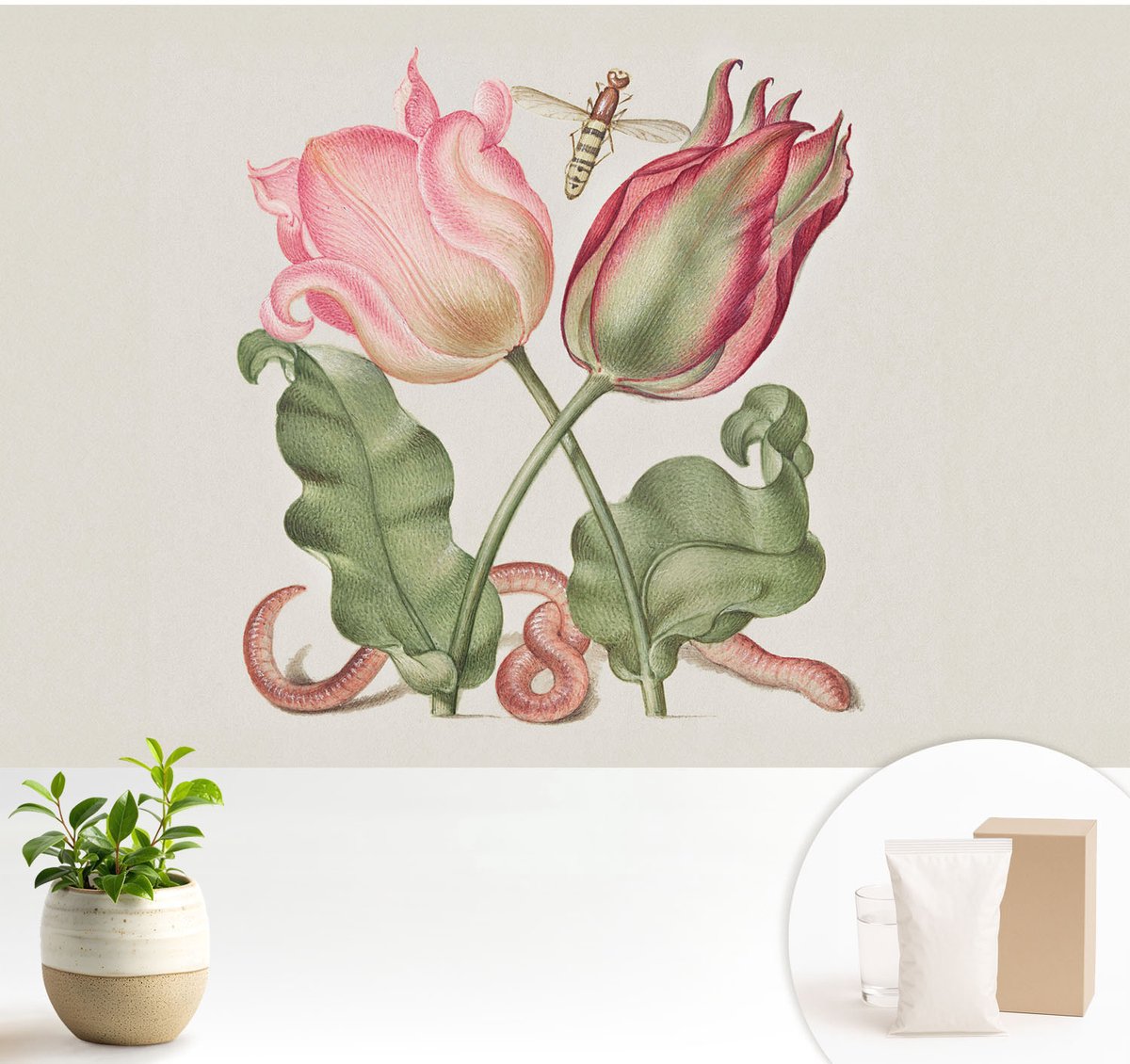 Wallfluent Fotobehang - Romig Vliesbehang - 104x70 cm - Tulpen Schoonheid Fotobehang Vlies - Woonkamer behang Bloemen En Planten - Muurschildering - Woonkamer behang