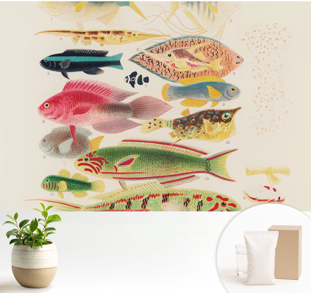 Wallfluent Fotobehang - Beige Vliesbehang - 104x70 cm - Kleurrijke Vissen Muurschildering - Slaapkamer behang Dieren - Fotobehang Vlies - Slaapkamer behang