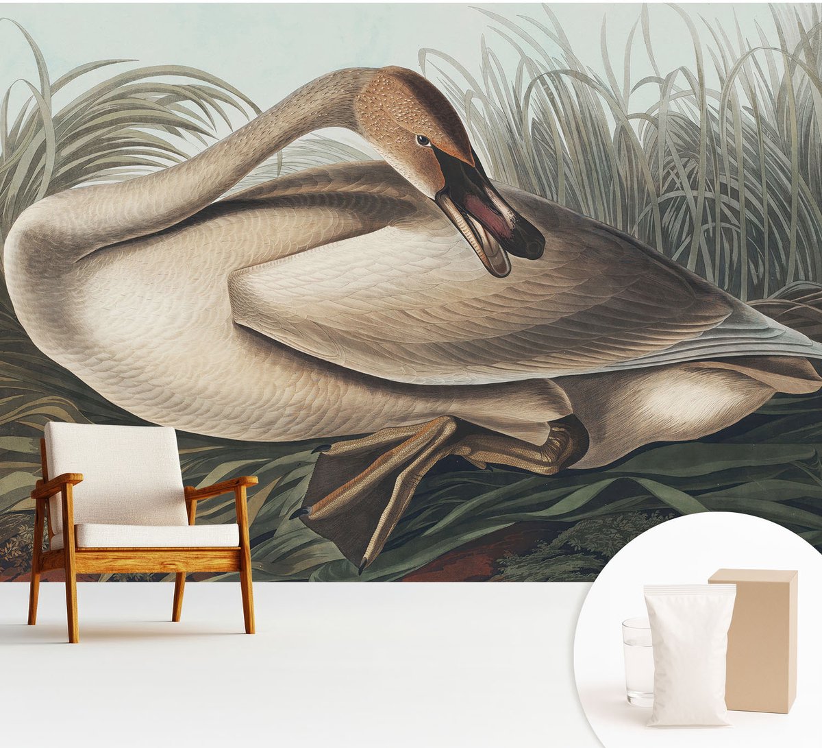 Wallfluent Fotobehang - Bruin Vliesbehang - 312x219 cm - Natuurlijke Vogel Fotobehang Vlies - Hal behang Dieren - Muurschildering - Hal behang