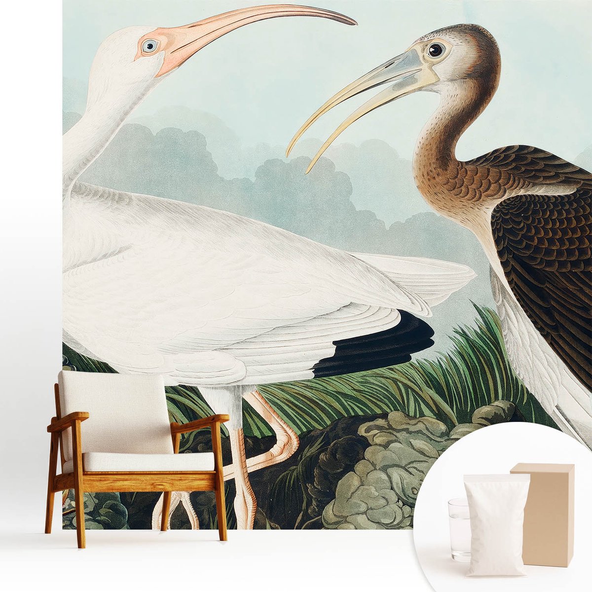 Wallfluent Fotobehang - Wit Vliesbehang - 250x250 cm - Vogelpaar Muurschildering - Slaapkamer behang Dieren - Fotobehang Vlies - Slaapkamer behang