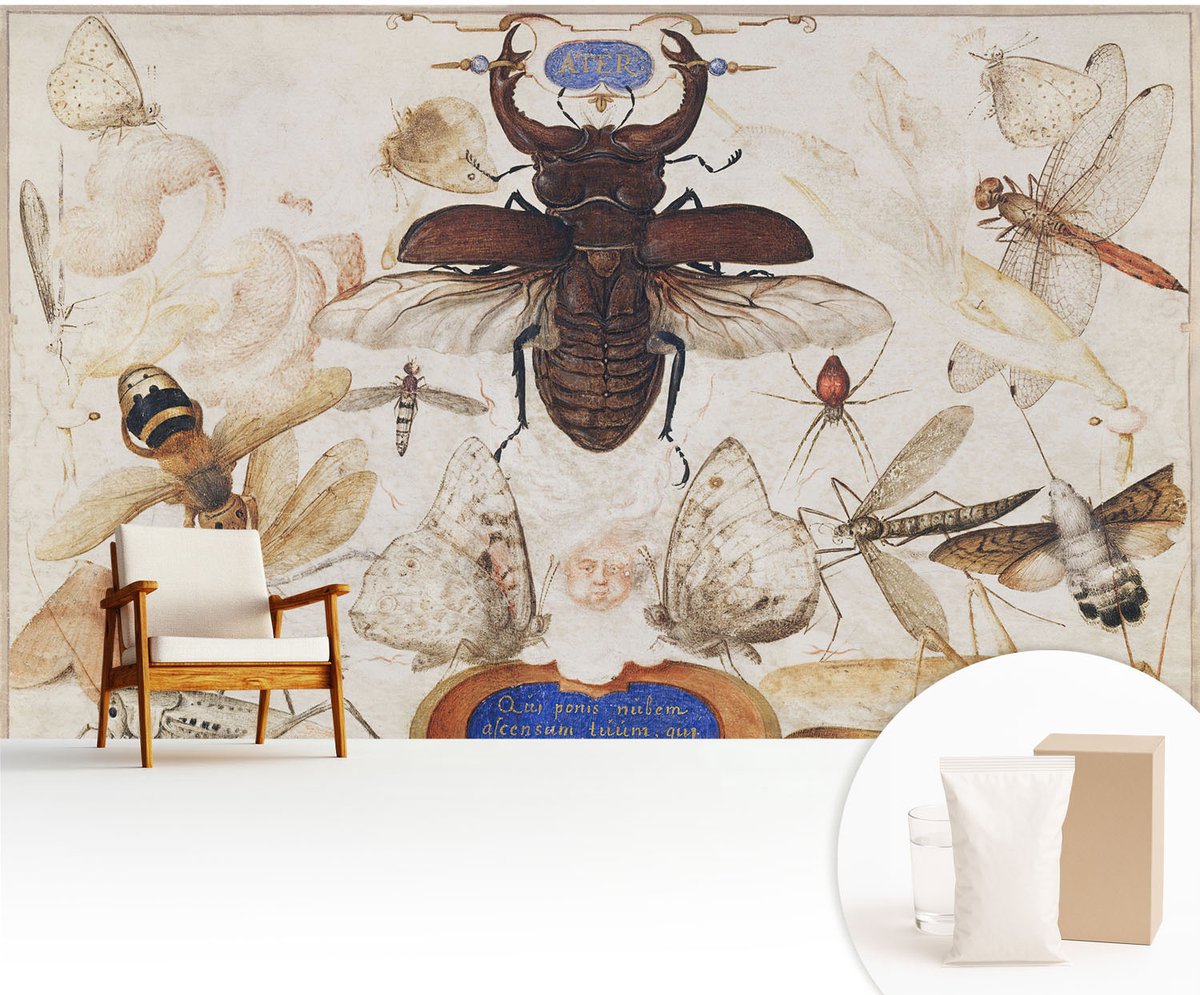 Wallfluent Fotobehang - Wit Vliesbehang - 416x254 cm - Natuurlijke Harmonie Muurschildering - Slaapkamer behang Ander - Fotobehang Vlies - Gang behang
