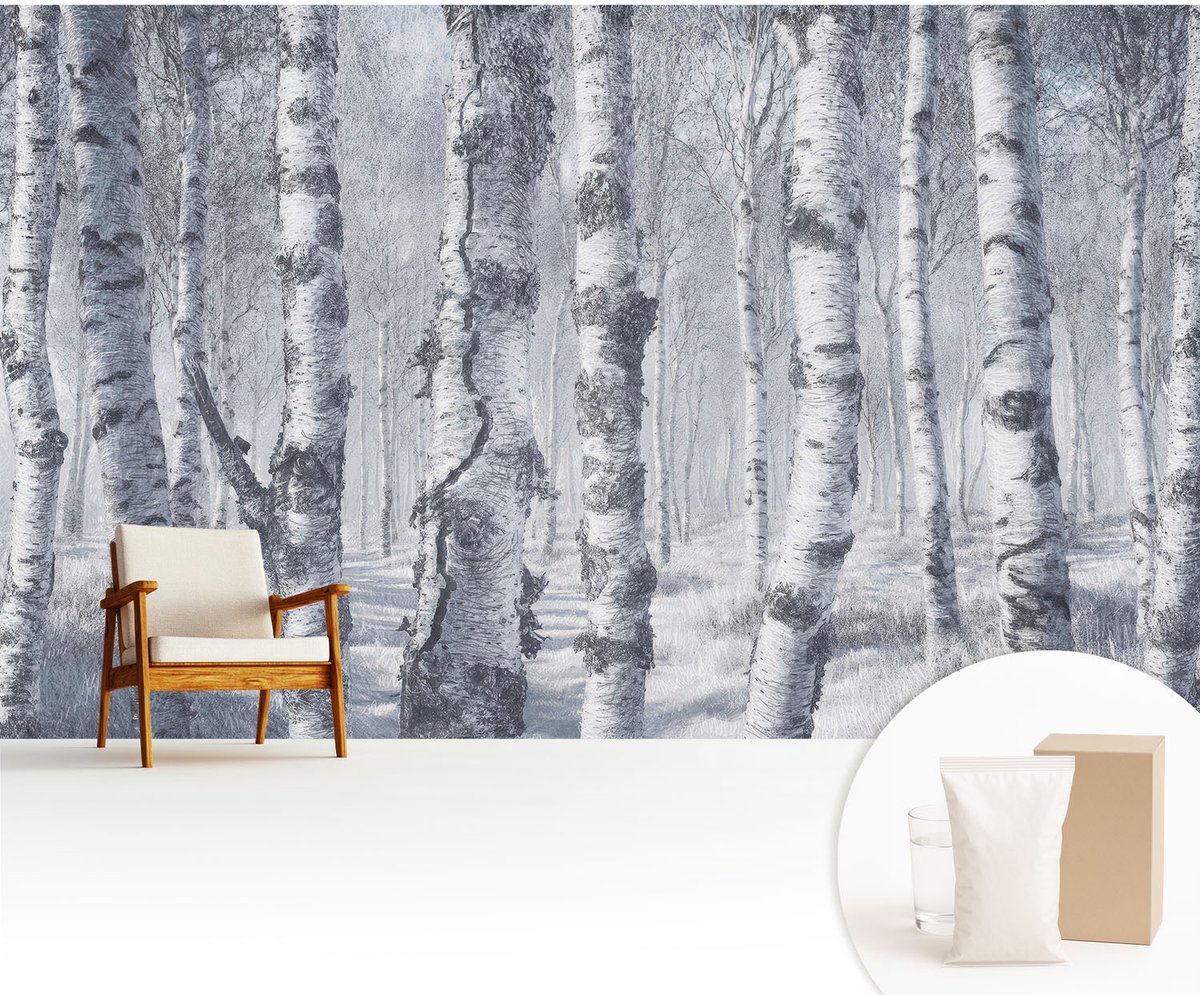 Wallfluent Fotobehang - Grijs Vliesbehang - 416x254 cm - Vorstige Natuur Muurschildering - Gang behang Landschappen - Fotobehang Vlies - Slaapkamer behang