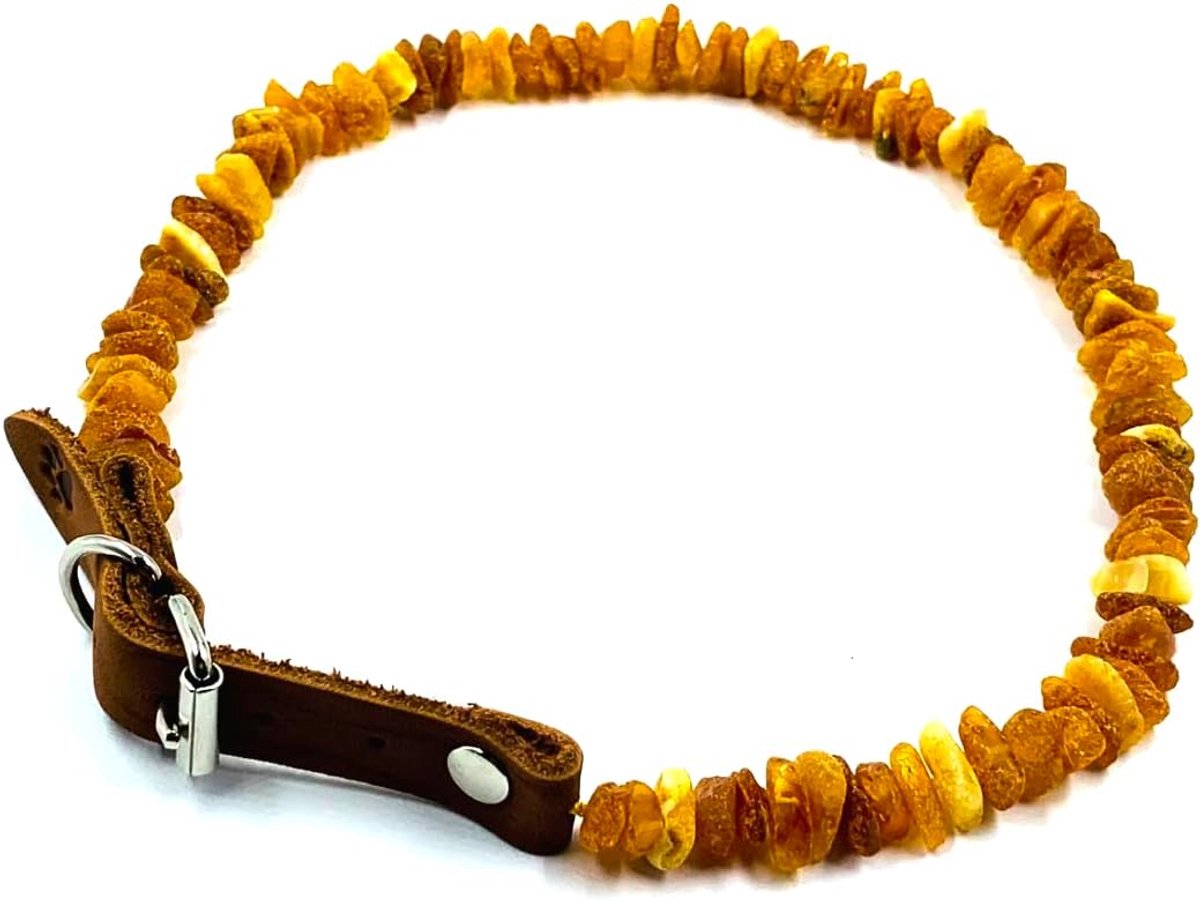 Hondenhalsband amber - natuurlijke baltische amber kralen - vermindert jeuk en irritatie - ShopVlot