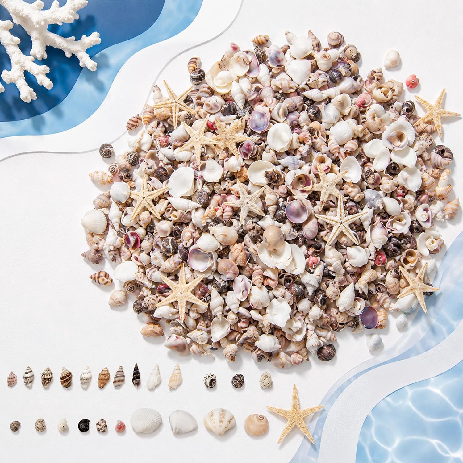 1000 Mini Schelpen, Gemengd, 20 Soorten, Voor Knutselen & Decoratie