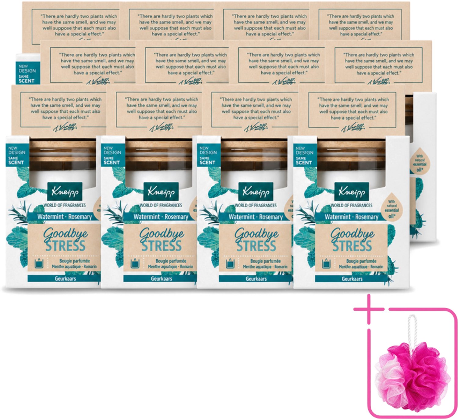 12 x Kneipp - Geurkaars - Goodbye Stress - Watermunt & Rozemarijn - 20 branduren - Bulkverpakking - Geurkaars - Douchemop - Ontspanning
