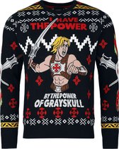 Masters Of The Universe He-Man Heren kersttrui - meerkleurig - L