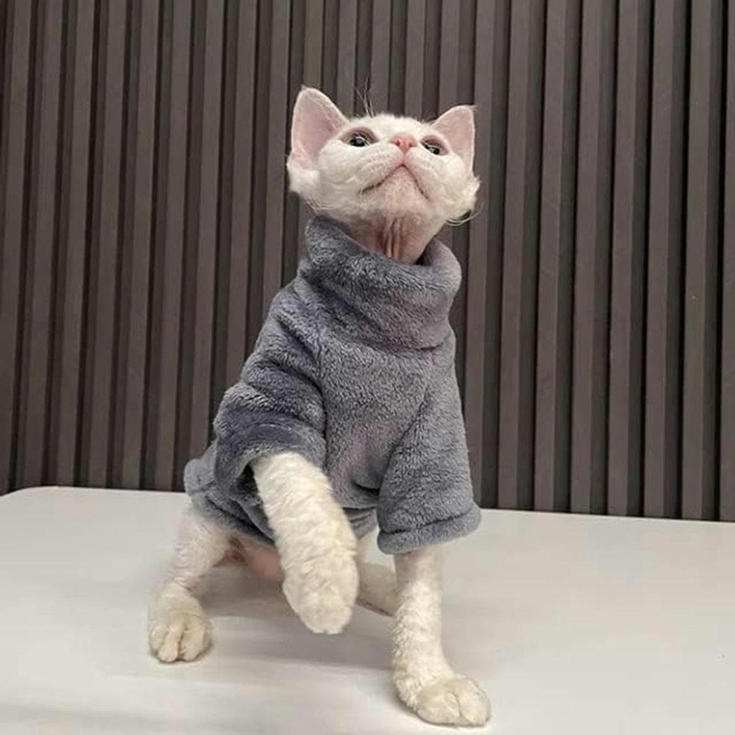 Winter Kattenkleding Voor Sphinx Warme Hoodies Huisdieren Verdikte Jas Kittens Kostuums Chihuahua Herfst Dubbelzijdig Plus Fluweel-XS