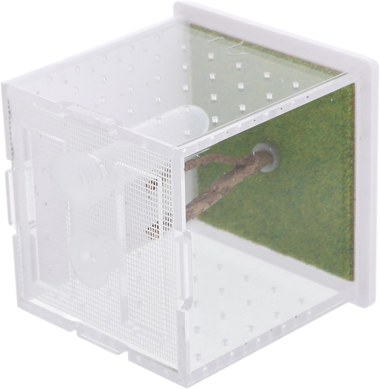 Happyyami springspin kweekbak acryl spinnencontainer insectenbak kweekbak voor reptielen geval van insectenhabitat transparante springspinnenkooi voerkoffer