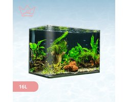 AquaKonings – Aquarium – Aquarium met afgeronde hoeken - Open Aquarium - Aquariumkit 35x20x23 16L