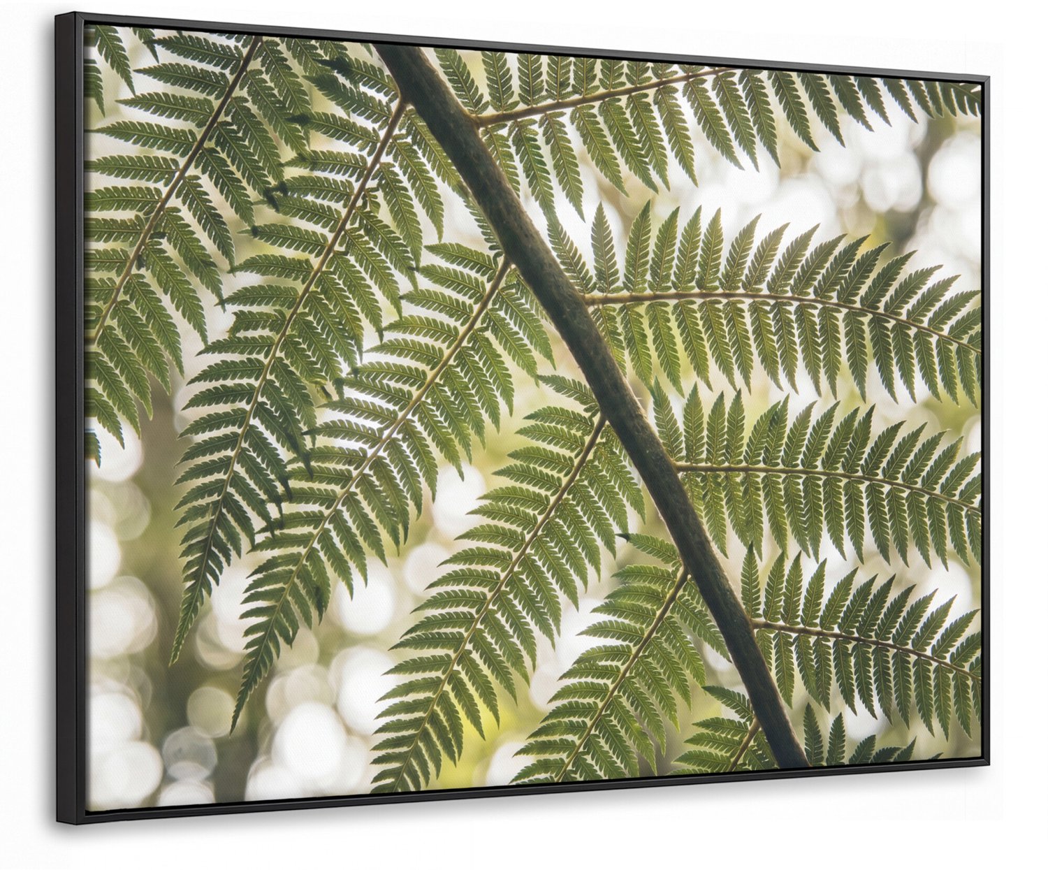 Canvas Schilderij met Baklijst - Plant - Blad - Natuur - Groen - Detail