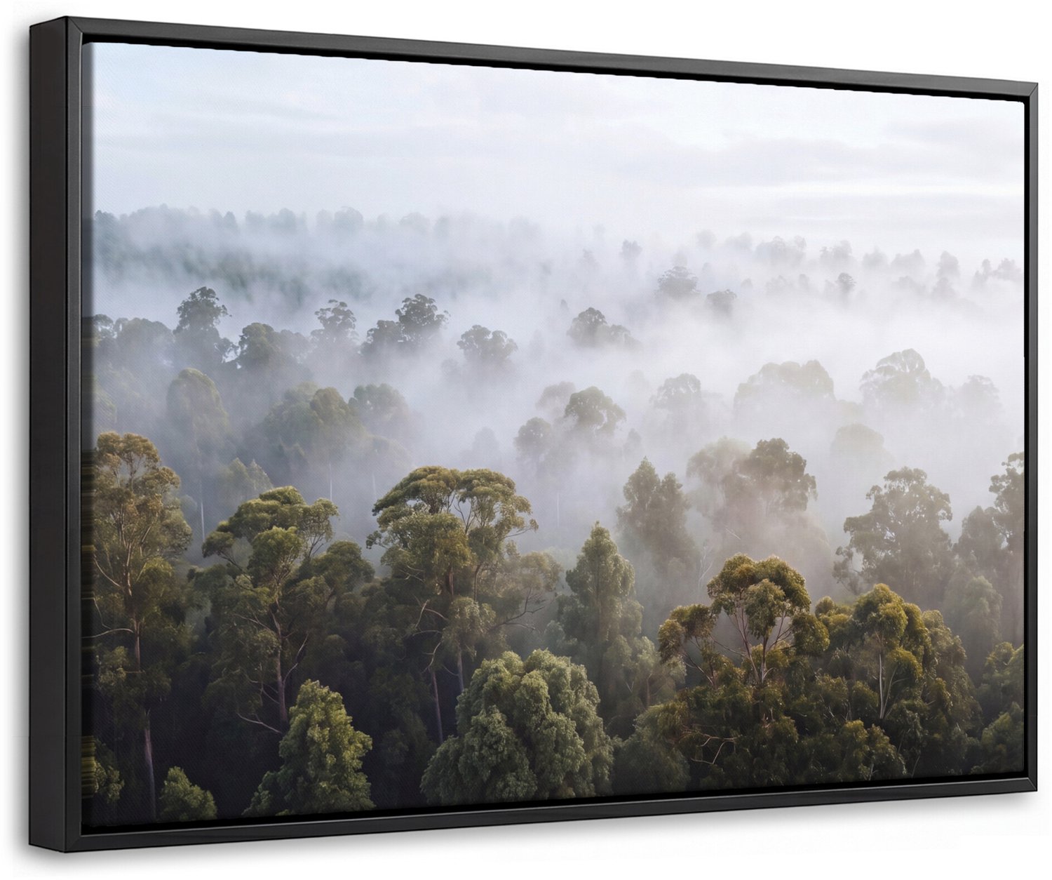 Canvas Schilderij met Baklijst - Natuur - Mist - Bos - Ochtend - Goud
