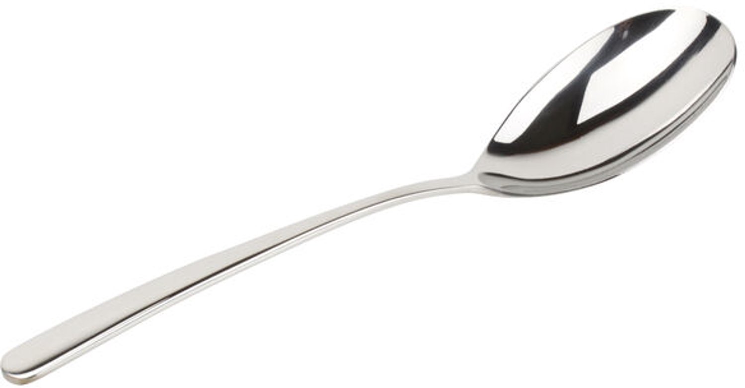Fameilleur serveerlepel 25 cm Amberes - roestvrijstalen serveerlepel, voor opscheppen van sauzen en gerechten, vaatwasserbestendig, voedselveilig, keukengerei voor thuis, restaurant en horeca, mooi als cadeau