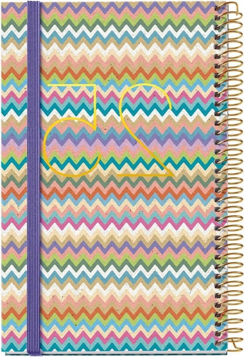 Agenda 2025 Dagplanner - Jaarplanner Organizer - Dagelijkse Organisatie - Drietalige Inhoud - 117 x 182 mm - Meerkleurig