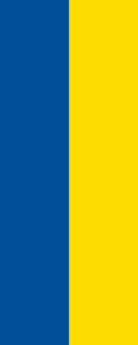 Vlag Tuttlingen 200x300cm
