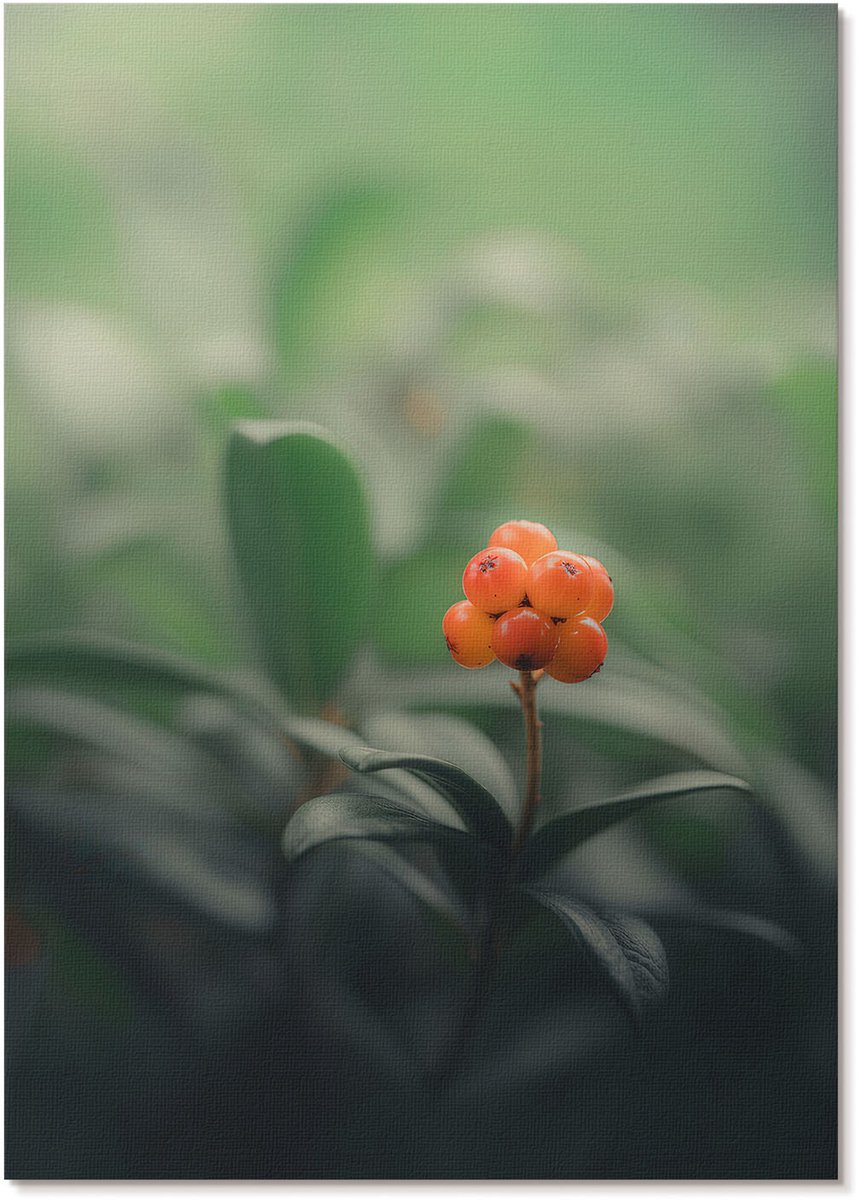 Tulup Polycanvas Wandposter - Oranje Bessen, Fotografie - A4 - Groen Design - Rechthoek - Interieurdecoratie - Woonkamer, Slaapkamer, Kantoor - Klassiek