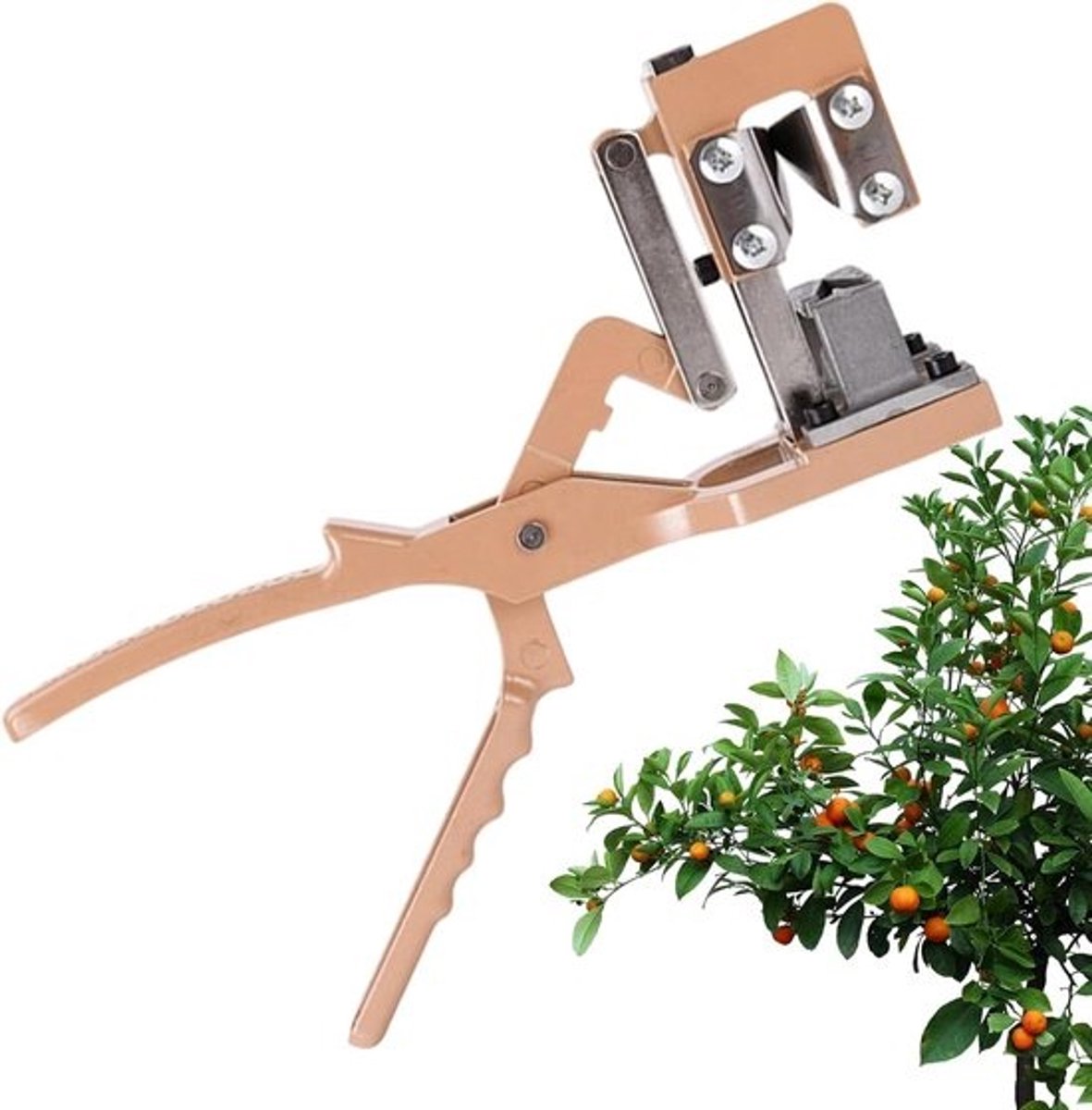 Entgereedschap - Tuinschaar Snoei - Fruitbomen Verzorgen - Precisie Cambiumverbinding - Aluminiumlegering - Zilver
