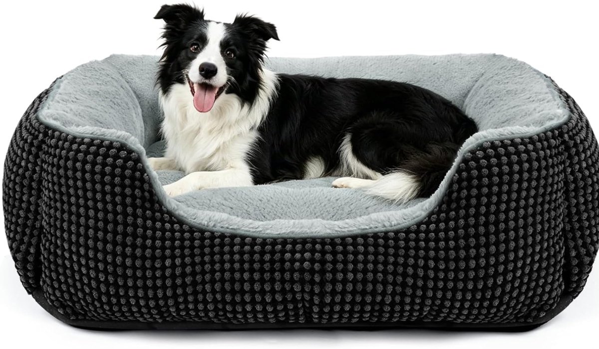NIVA® Hondenbed - Hondenbank - Hondensofa - Hondenmand - Zwart - 76cm x 61cm x 23cm