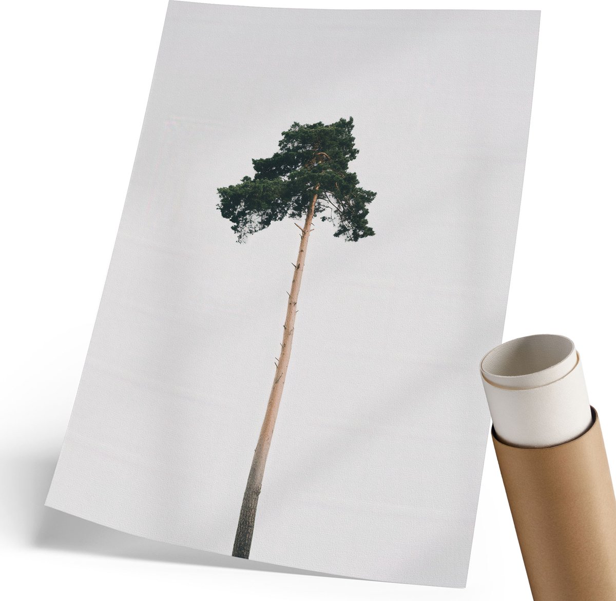 Coloray Polycanvas Poster - Berglandschap, Wit - 210 x 297 mm - Wit Wandposter - Rechthoek - Muurdecoratie - Woonkamer - Minimalist