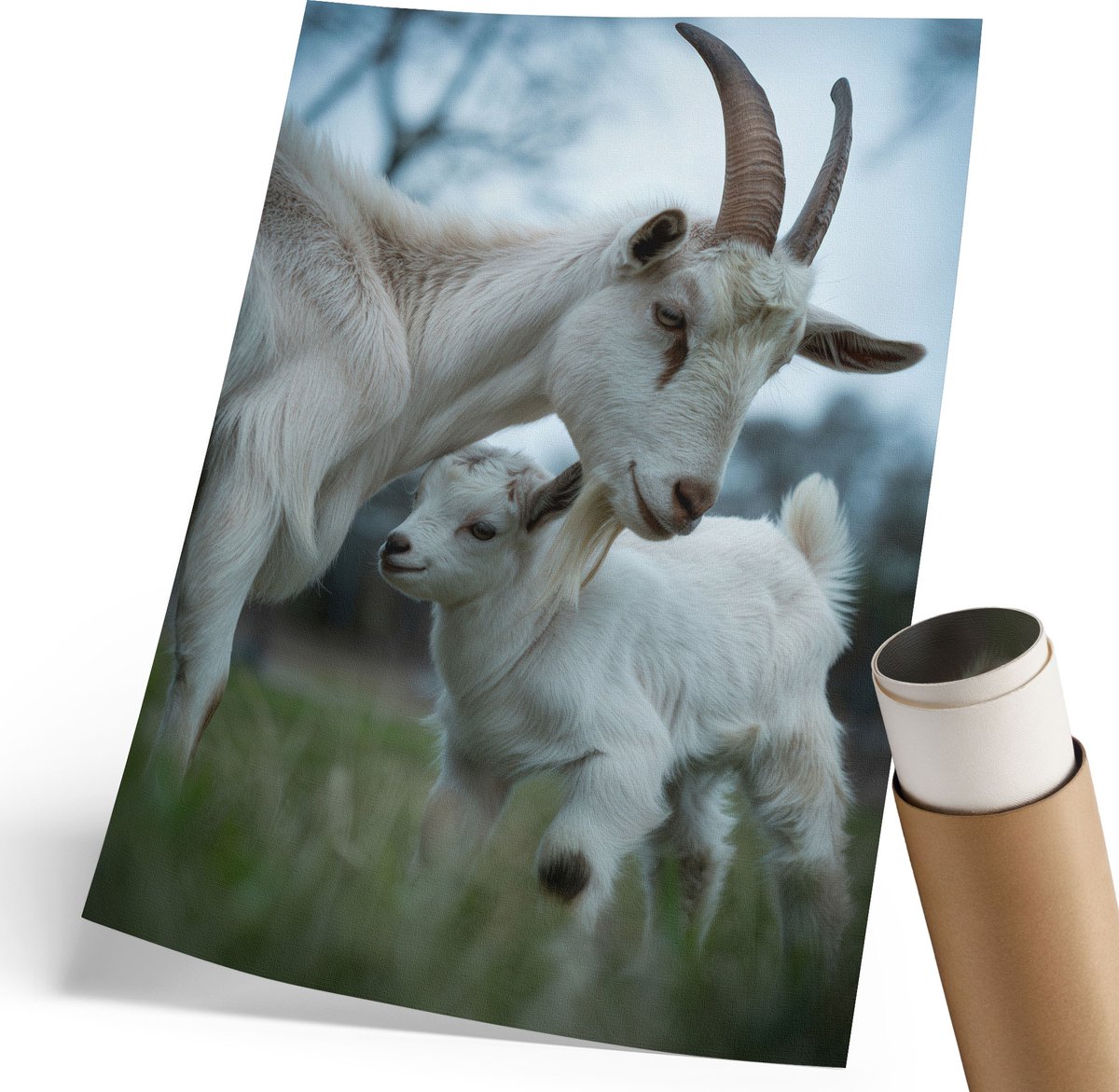 Coloray Polycanvas Poster - Geiten Bij Elkaar, Fotografie - 210 x 297 mm - Wit Illustratie - Rechthoek - Muurdecoratie - Woonkamer, Slaapkamer, Kantoor - Rustiek