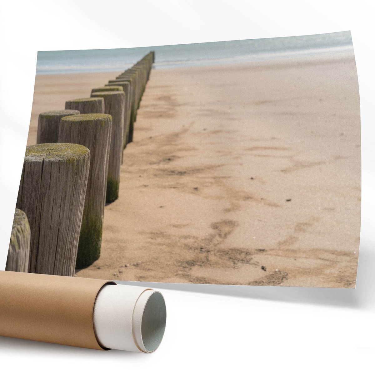 Coloray Polycanvas Wandposter - Retro Palmboom, Fotografie - 594 x 840 mm - Groen Wandposter - Rechthoek - Canvasposter - Woonkamer - Vintage