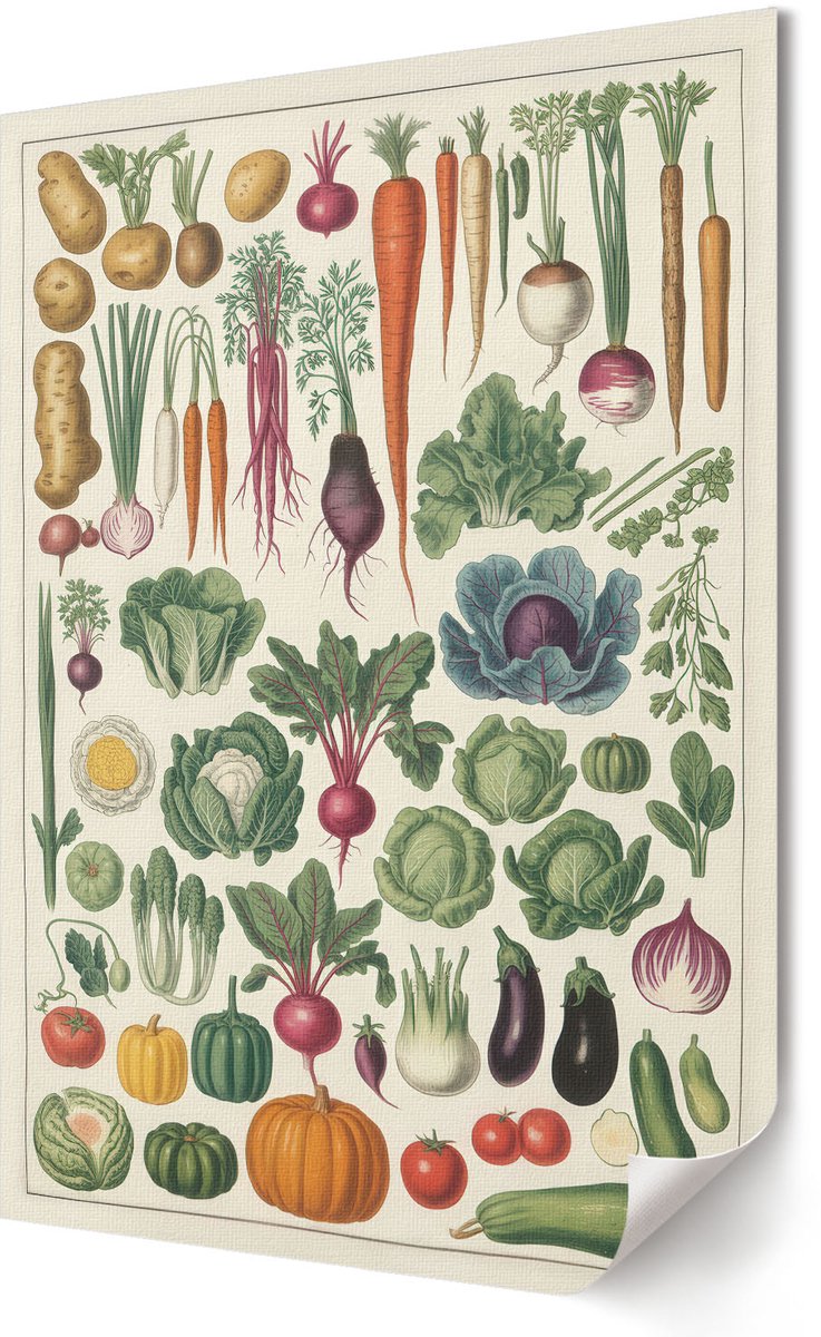 Coloray Polycanvas Poster - Soorten Groenten, Illustratie - 420 x 594 - Romig Illustratie - Rechthoek - Kunstposter - Woonkamer, Slaapkamer, Kantoor - Vintage