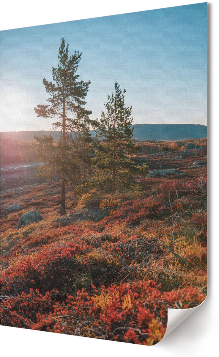 Coloray Polycanvas Wandposter - Duik Niet Met Me Mee., Illustratie - A2 - Zwart Illustratie - Rechthoek - Canvasposter - Woonkamer, Slaapkamer, Kantoor - Humoristisch