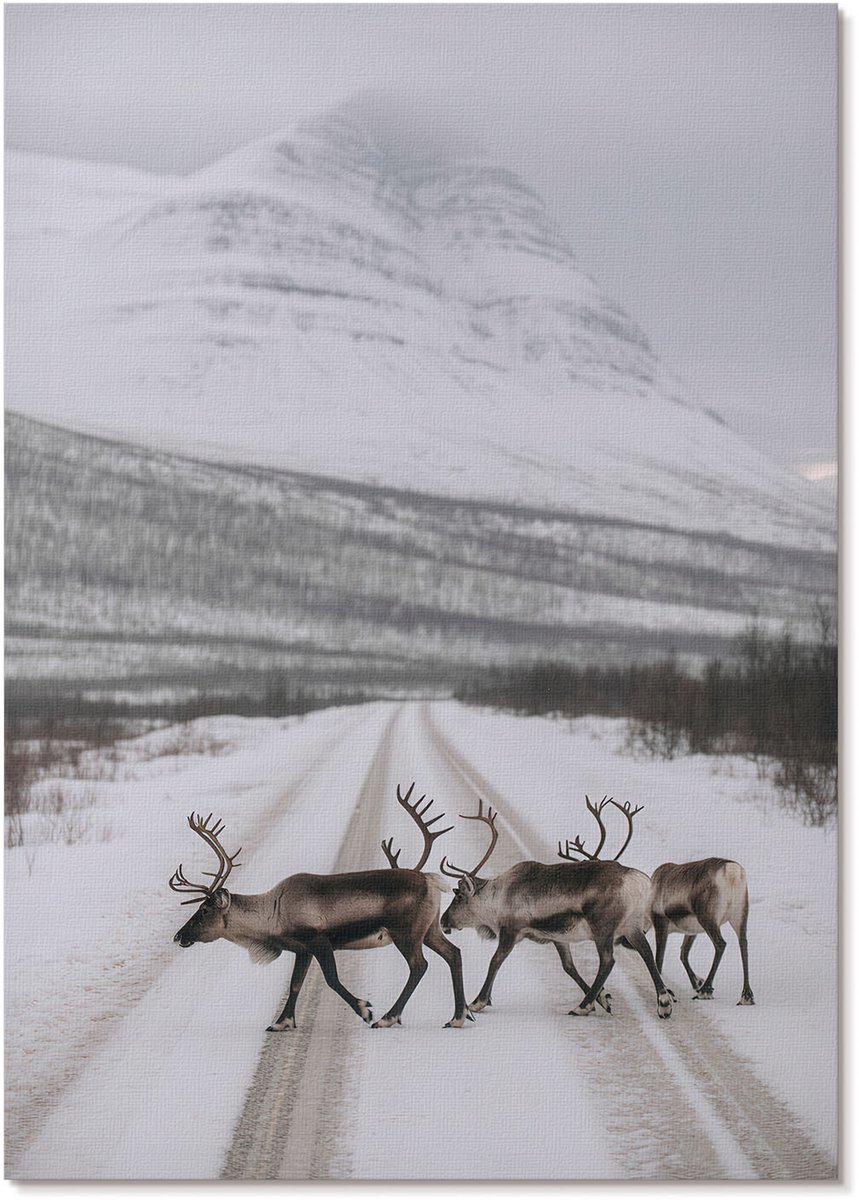 Tulup Canvas Poster Polycanvas - Paard En Sneeuw, Fotografie - A3 - Grijs Decoratie - Rechthoek - Decoratieve poster - Woonkamer, Slaapkamer, Kantoor - Modern