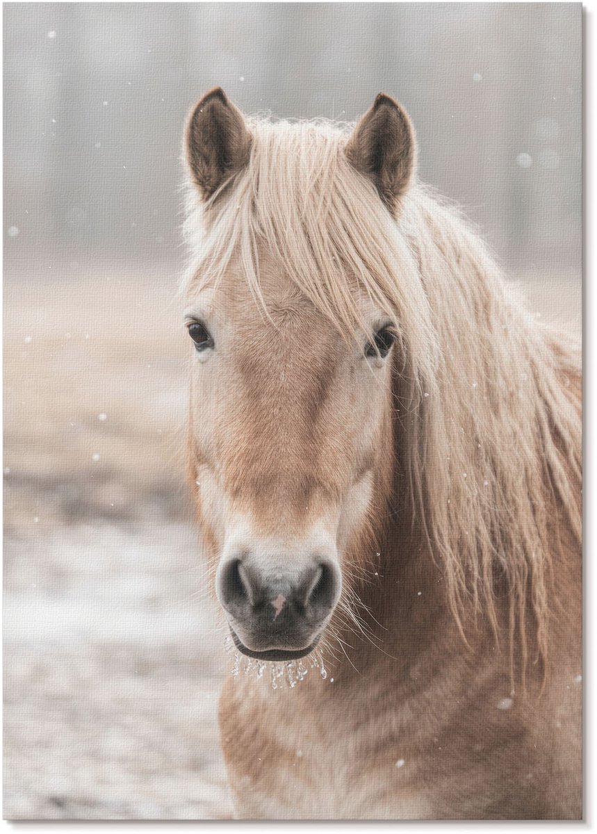 Tulup Polycanvas Wandposter - Winterpaard, Fotografie - A4 - Beige Illustratie - Rechthoek - Wandkunstwerk - Woonkamer, Slaapkamer, Kantoor - Klassiek