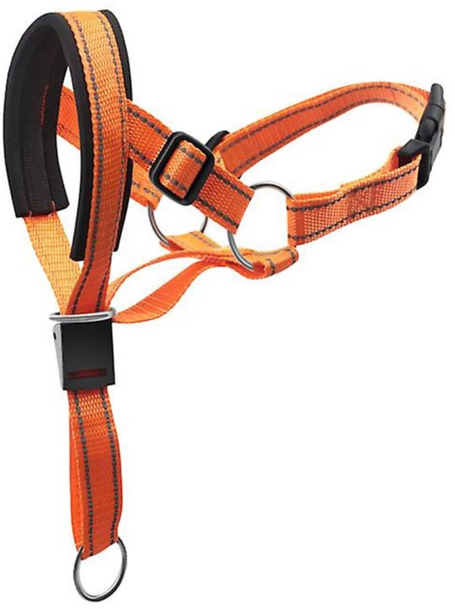Dailygoods- Halsband Verstelbaar - Halterhalsband - Nylon - Comfortabel