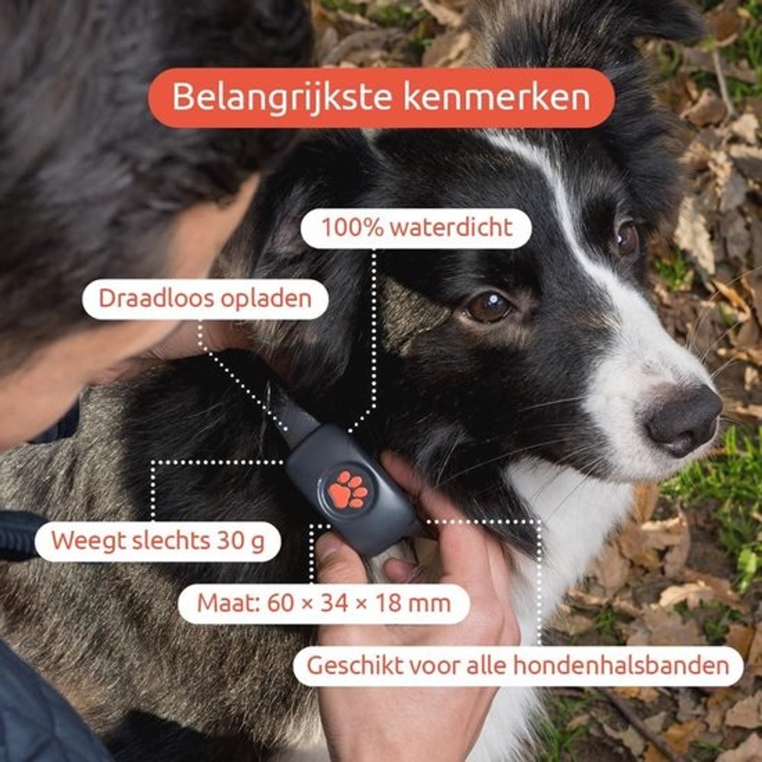Dog GPS-tracker Zonder Abonnement - Blauw