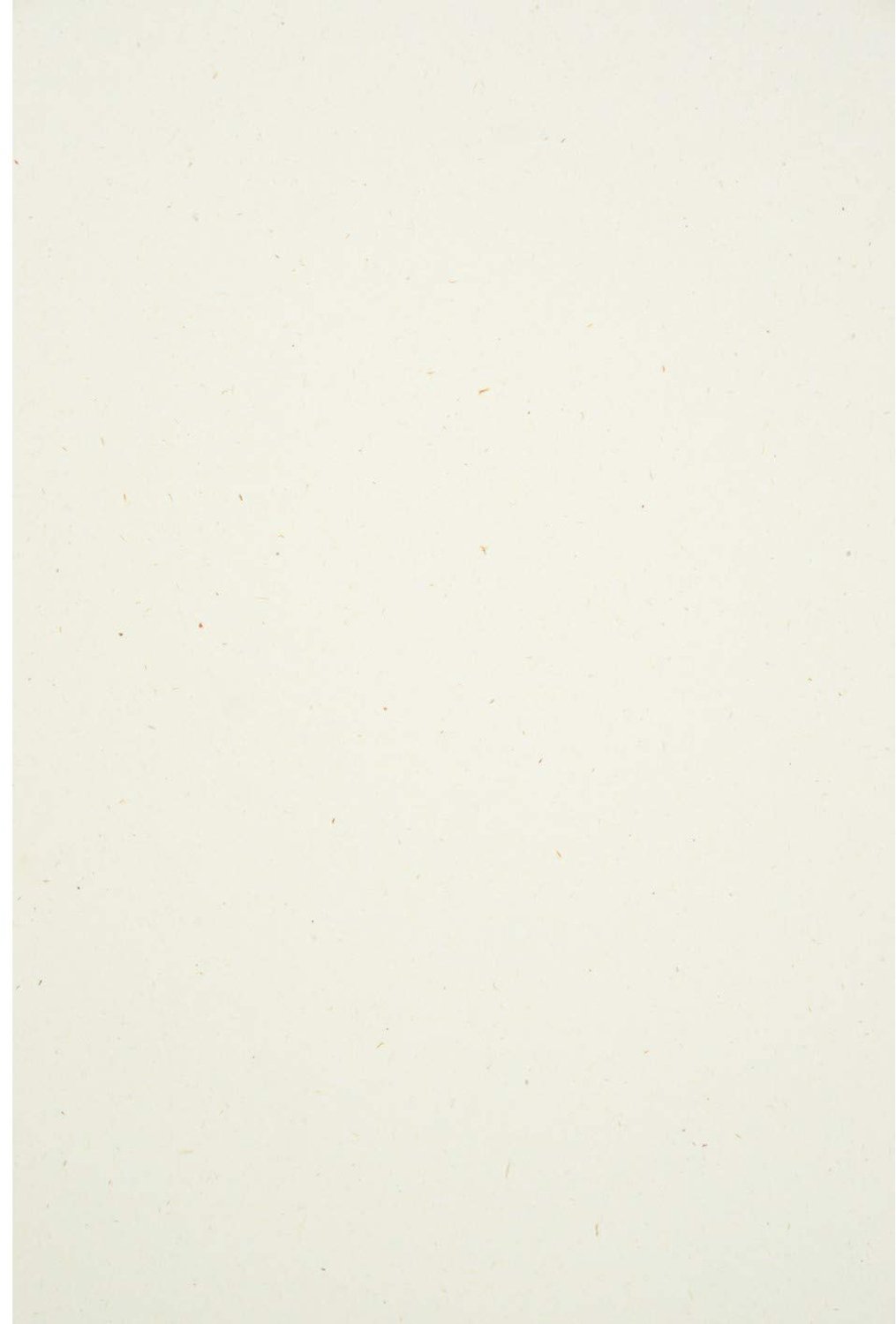 Ecru Papier A4 130g Flora - Gerecycled en Biologisch Afbreekbaar