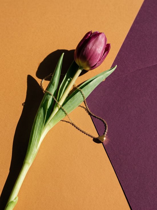 Goudkleurige ketting met een klein hartje, gepresenteerd naast een paarse tulp op een tweekleurige bruin-paarse achtergrond.